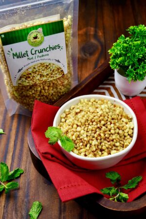 Millet Crunchies Mint/Pudhina