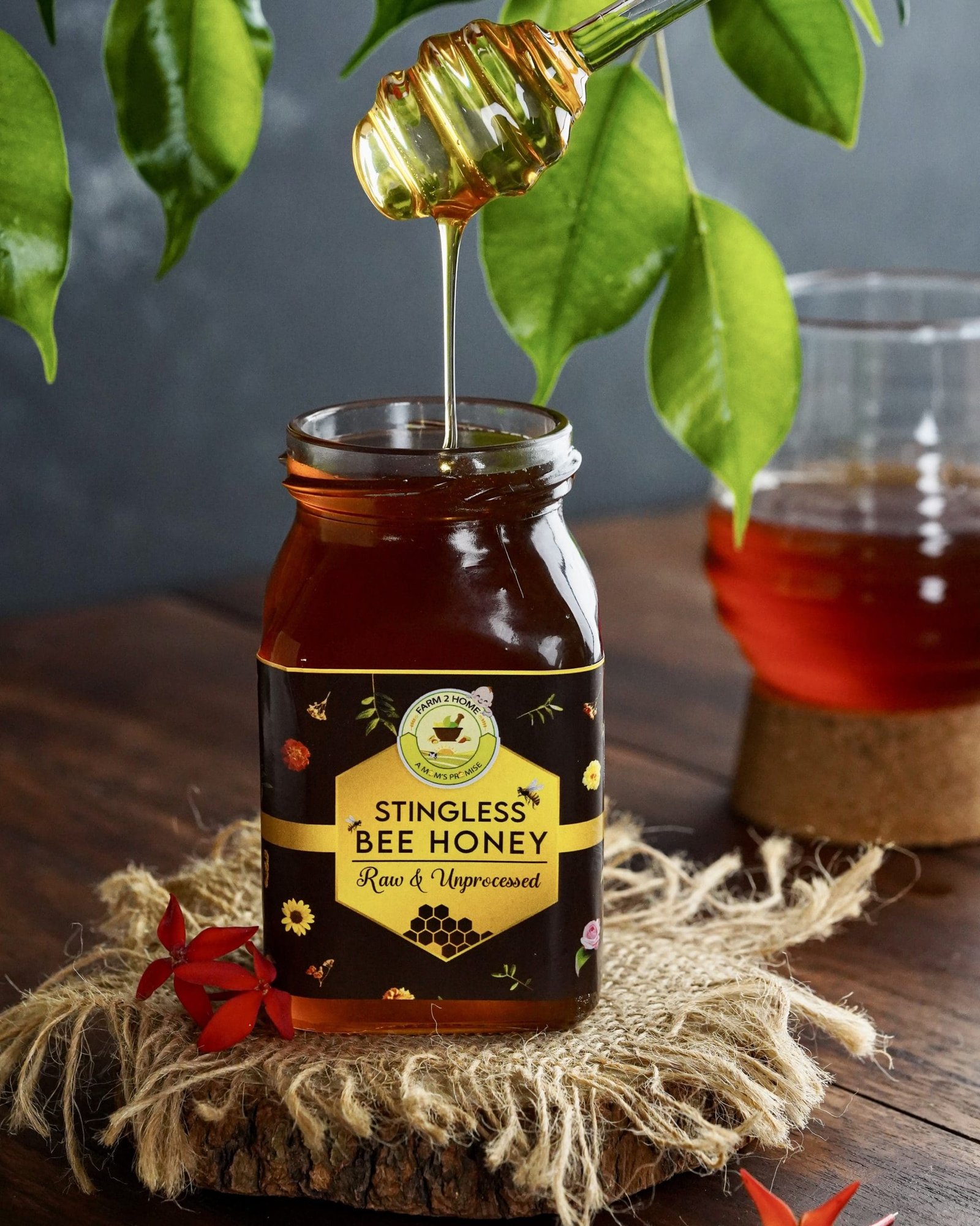 KINOHIMITSU Raw Stingless Bee Honey – Malaysian Kelulut, 300g X 3, Low GI, Halal, Organic